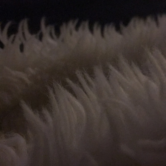 Meet your Posher, Carlos - Picture 1 of 1